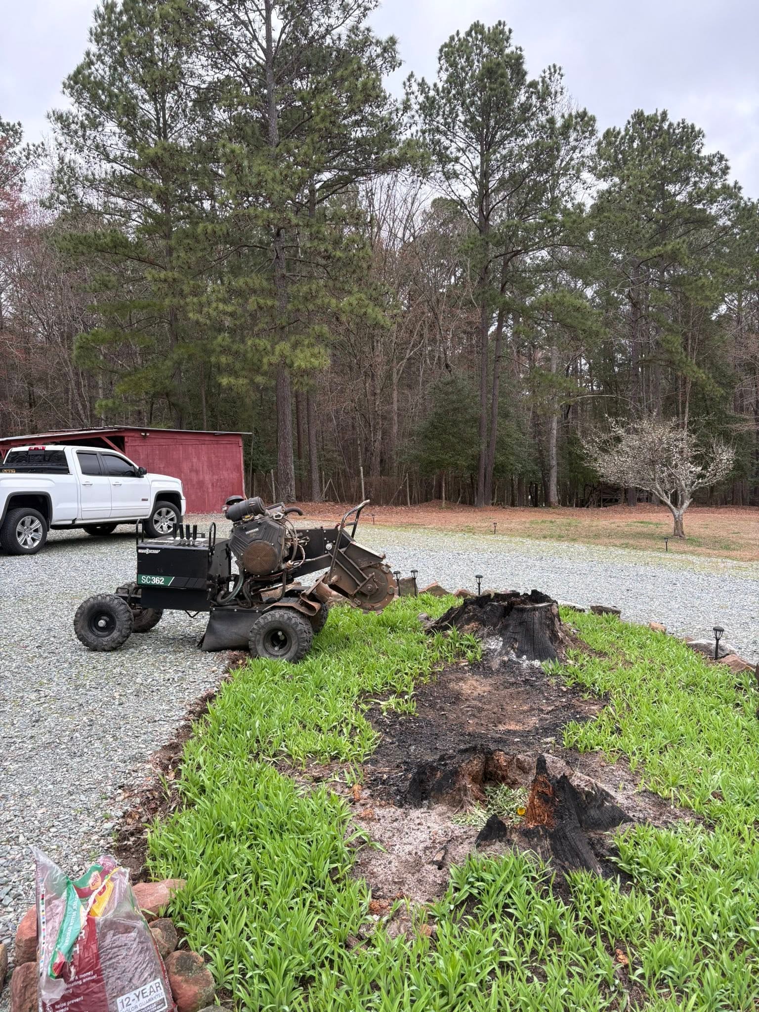 Driveway Stump Removal — before