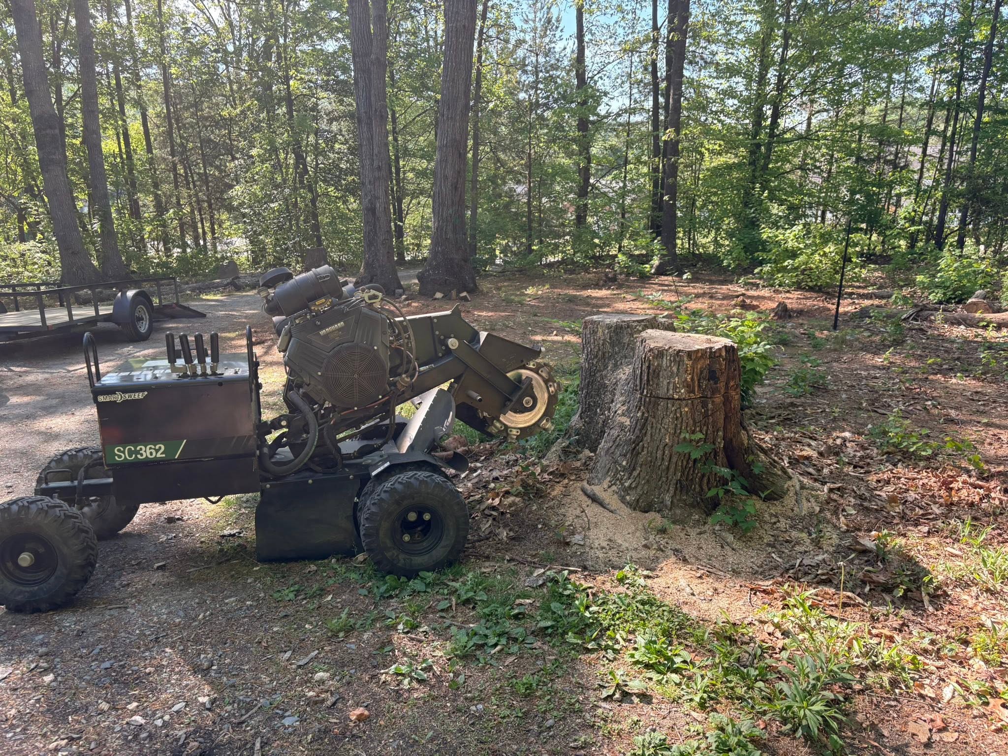 Wooded Lot Stump Removal — before