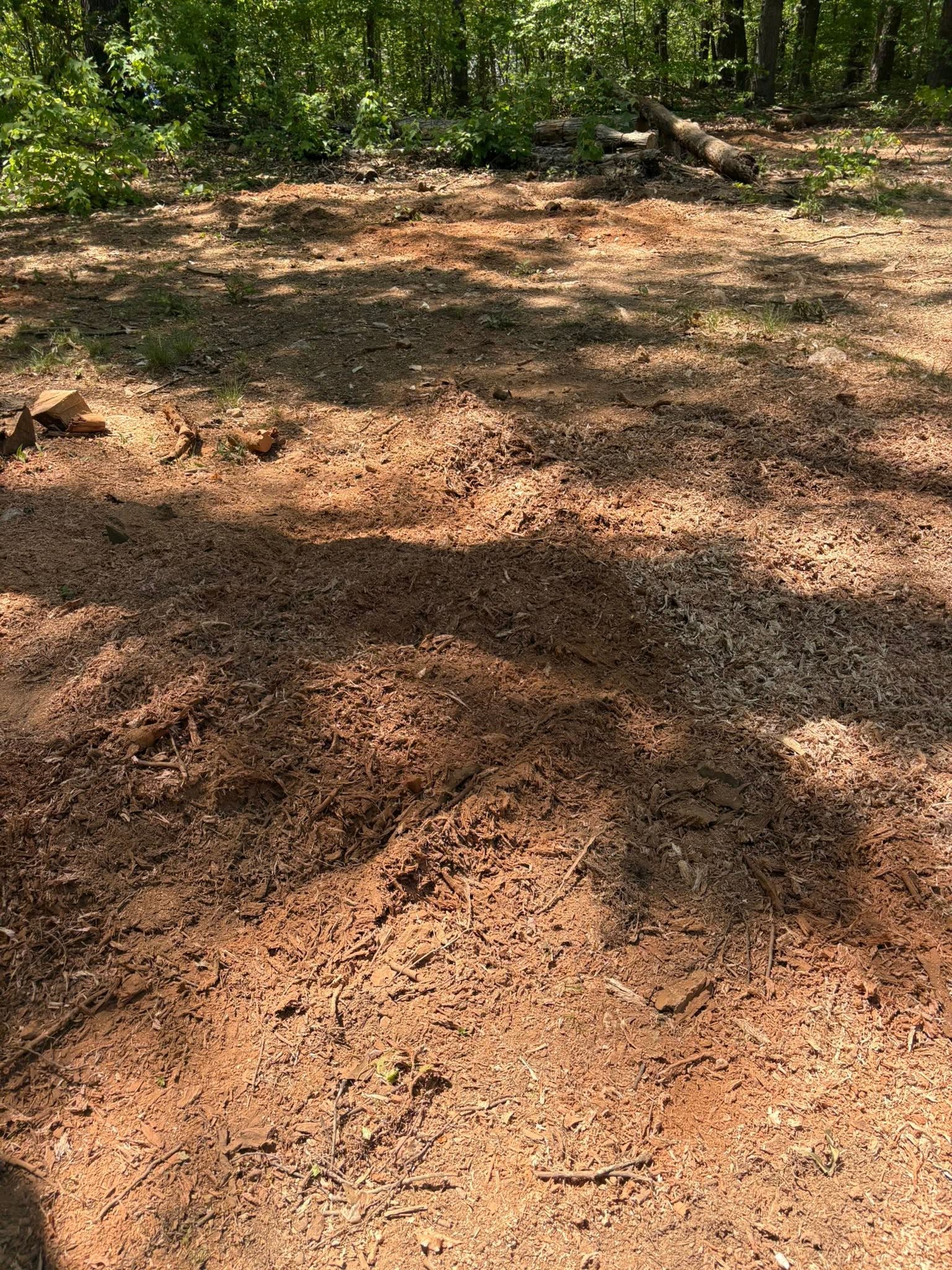 Wooded Lot Stump Removal — after