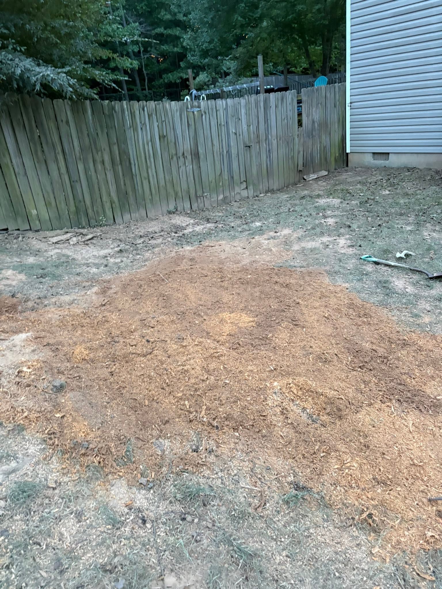 Backyard Stump Removal — after
