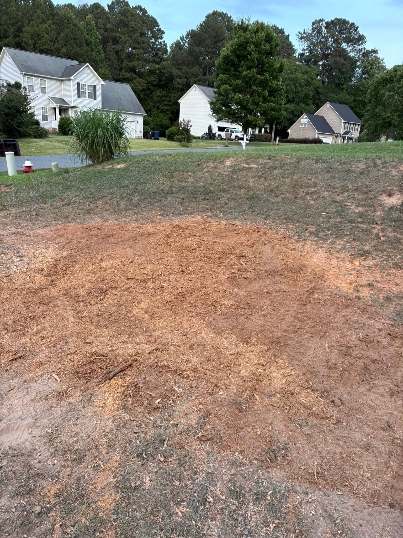 Residential Stump Removal — after