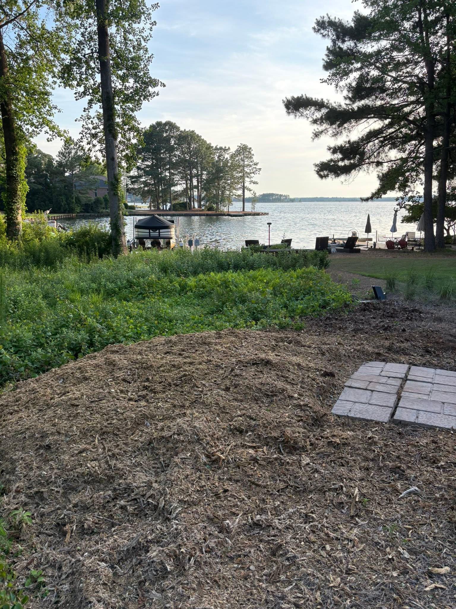 Lakefront Stump Removal — after