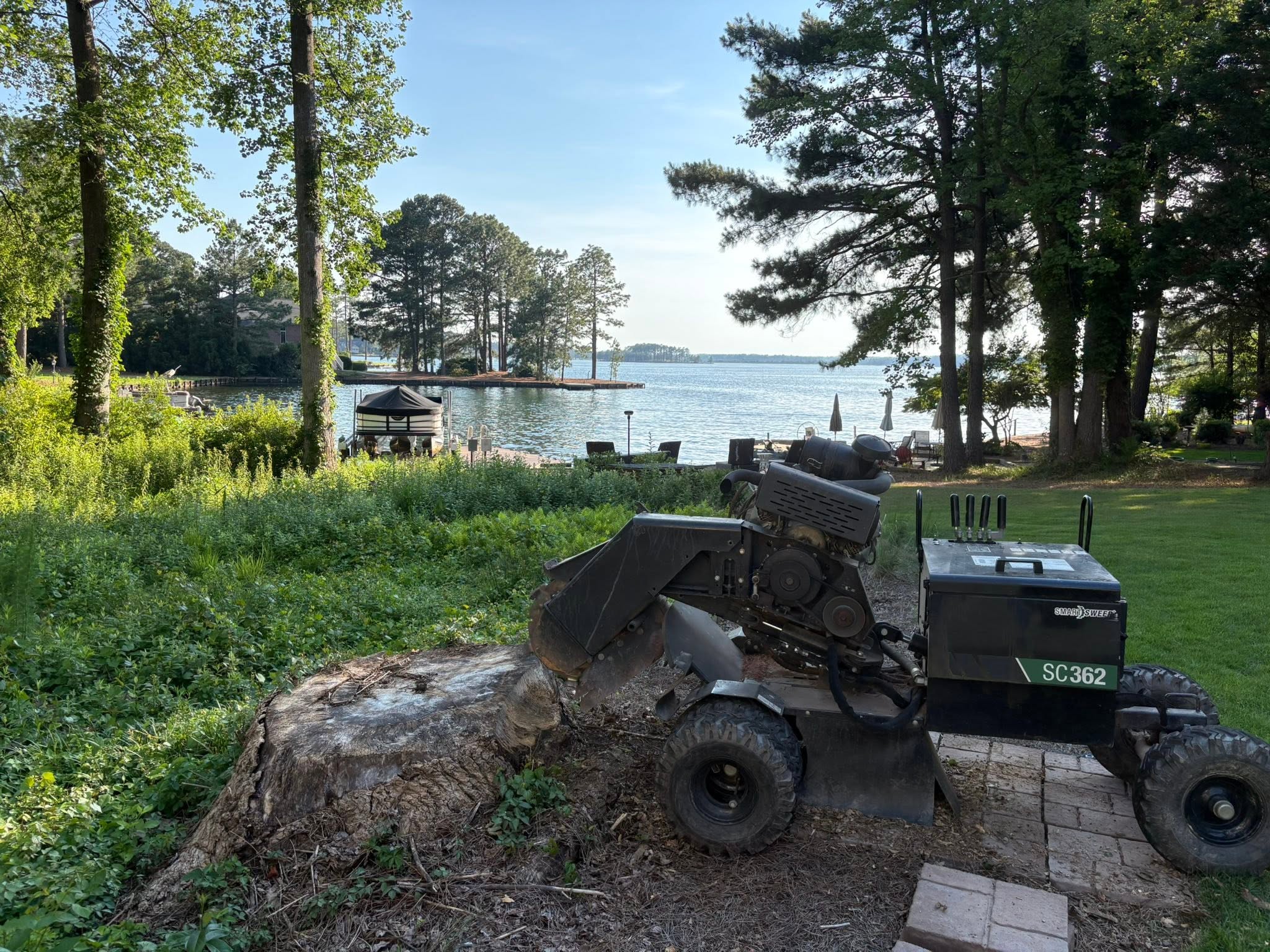Lakefront Stump Removal — before