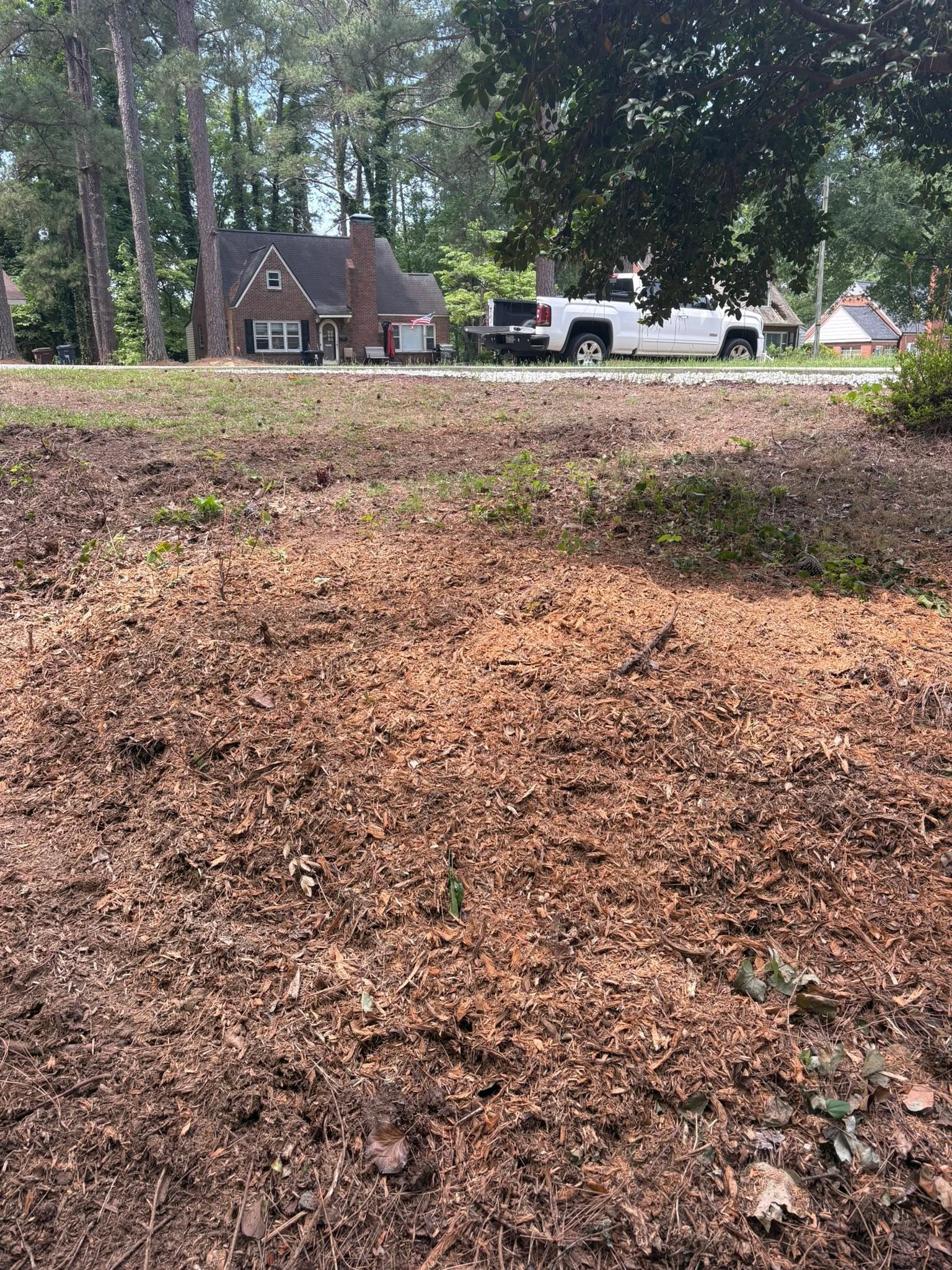 Front Yard Stump Removal — after