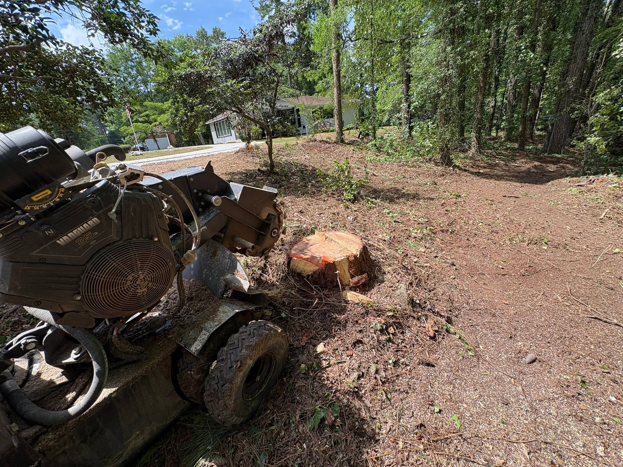 Front Yard Stump Removal — before