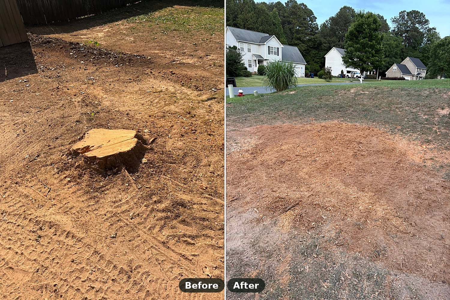 Yard Restoration